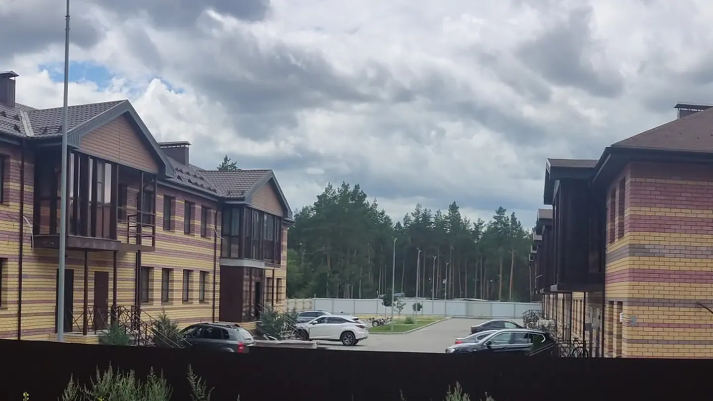 Зелёное окружение